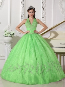 Lovely Spring Green Quinceanera Dress Halter Taffeta and Organza Appliques Ball Gown