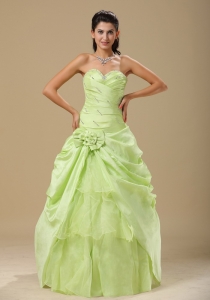 Yellow Green Hand Made Folwers and Ruched Bodice In Indianapolis For Quinceanera Dress