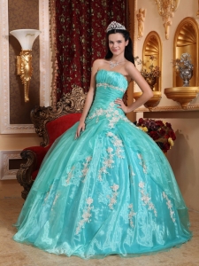 Beautiful Quinceanera Dress Strapless Organza Appliques Ball Gown