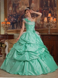 Brand New Apple Green Quinceanera Dress One Shoulder Hand Flowers Taffeta Ball Gown
