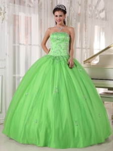 Elegant Spring Green Quinceanera Dress Strapless Taffeta and Tulle Appliques Ball Gown