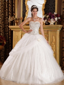 Popular Quinceanera Dress Sweetheart Organza and Sequined Ball Gown
