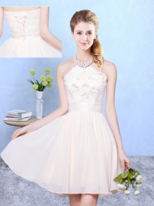Baby Pink Chiffon Lace Up Quinceanera Court Dresses Sleeveless Knee Length Lace