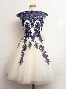 Fantastic Blue And White Scalloped Neckline Appliques Dama Dress for Quinceanera Sleeveless Lace Up