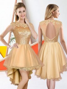 Sophisticated Sleeveless Organza High Low Backless Dama Dress in Champagne with Beading and Lace