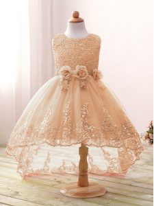 Scoop Sleeveless Tulle Pageant Gowns For Girls Lace and Bowknot and Hand Made Flower Zipper