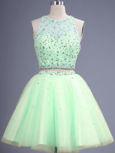 Fantastic Scoop Sleeveless Lace Up Quinceanera Court of Honor Dress Yellow Green Tulle
