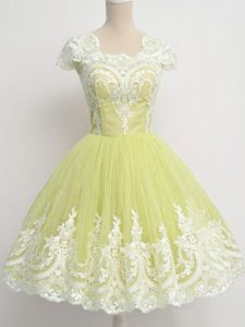 Fitting Yellow Green A-line Lace Dama Dress for Quinceanera Zipper Tulle Cap Sleeves Knee Length