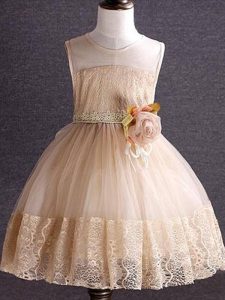 Fashionable Champagne Ball Gowns Lace and Hand Made Flower Little Girls Pageant Gowns Zipper Tulle Sleeveless Knee Length