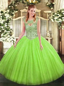 Scoop Sleeveless Lace Up Sweet 16 Quinceanera Dress Tulle