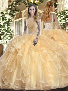 Stylish Ball Gowns Vestidos de Quinceanera Champagne High-neck Organza Sleeveless Floor Length Lace Up