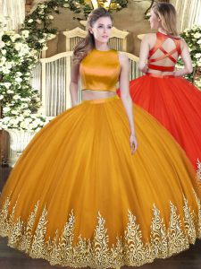 Noble Orange Two Pieces Appliques Quinceanera Dresses Criss Cross Tulle Sleeveless Floor Length