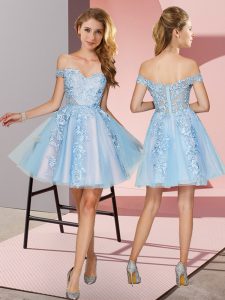 Colorful Light Blue Sleeveless Appliques Mini Length Quinceanera Court Dresses