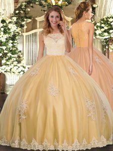 Sleeveless Lace and Appliques Clasp Handle Vestidos de Quinceanera