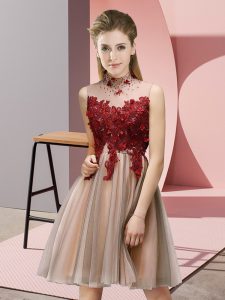Adorable Pink Sleeveless Appliques Knee Length Court Dresses for Sweet 16