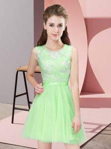 Fantastic A-line Tulle Scoop Sleeveless Lace Mini Length Side Zipper Dama Dress
