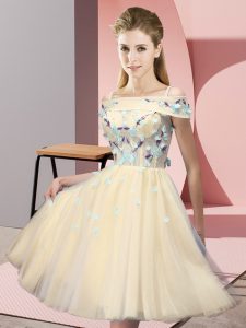 Tulle Short Sleeves Knee Length Dama Dress for Quinceanera and Appliques