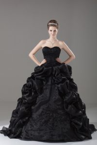 Black Organza Lace Up Quinceanera Dress Sleeveless Brush Train Embroidery and Pick Ups