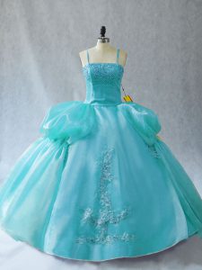 Beauteous Organza Sleeveless Floor Length Quince Ball Gowns and Appliques