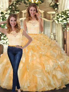 Organza Sleeveless Floor Length Quinceanera Gowns and Lace and Ruffles