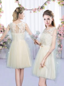 Mini Length Empire Sleeveless Champagne Quinceanera Court Dresses Lace Up