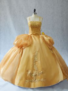 Colorful Floor Length Gold Sweet 16 Quinceanera Dress Organza Sleeveless Appliques