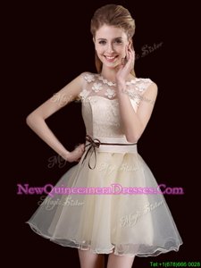 Low Price Scoop Mini Length Lace Up Quinceanera Dama Dress Champagne and In for Prom and Party withLace