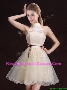 Custom Fit Halter Top Sleeveless Lace Up Quinceanera Court of Honor Dress Champagne Organza