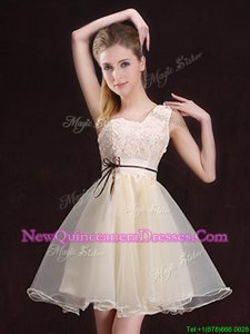 Smart One Shoulder Champagne Sleeveless Organza Lace Up Court Dresses for Sweet 16 for for Prom