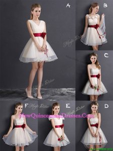 Trendy Champagne Sleeveless Organza Lace Up Dama Dress for Quinceanera for for Prom
