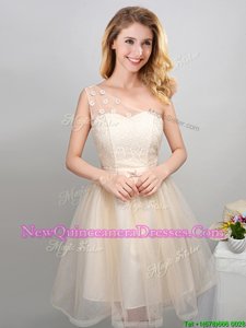 Captivating One Shoulder Spring and Summer and Fall Tulle Sleeveless Mini Length Quinceanera Dama Dress andLace and Appliques and Belt
