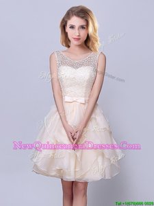 Fantastic Scoop Spring and Summer and Fall Organza Sleeveless Mini Length Dama Dress for Quinceanera andLace and Ruffles and Belt