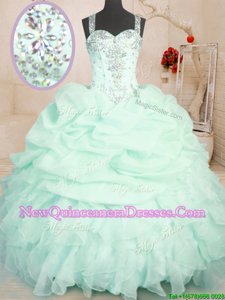 Trendy Sleeveless Organza Floor Length Zipper Sweet 16 Quinceanera Dress inApple Green withBeading and Ruffles and Pick Ups