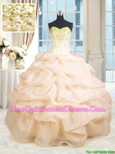 Comfortable Champagne Sleeveless Organza Lace Up Quince Ball Gowns for Military Ball and Sweet 16 and Quinceanera