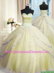 Colorful Spring and Summer and Fall and Winter Organza Sleeveless With Train Quince Ball Gowns Court Train andBeading and Appliques